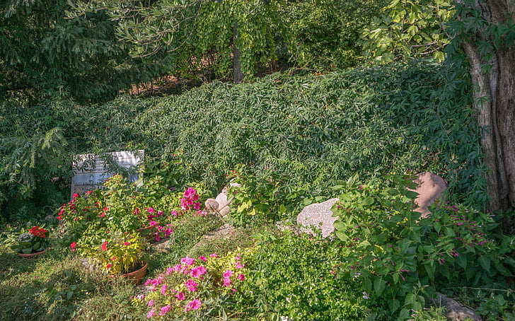 jardin, fleurs, roches, nature, Isola del garda, Italie, été