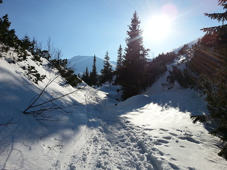 kalni, Tatry, ziemas, skats, sniega, daba, kalns