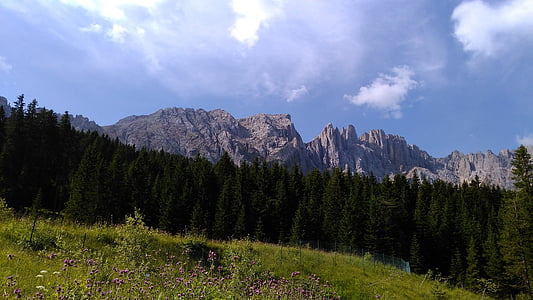 ruusutarha, Alpine, Italia, sininen, Etelä-Tiroli, vuoret, Hill