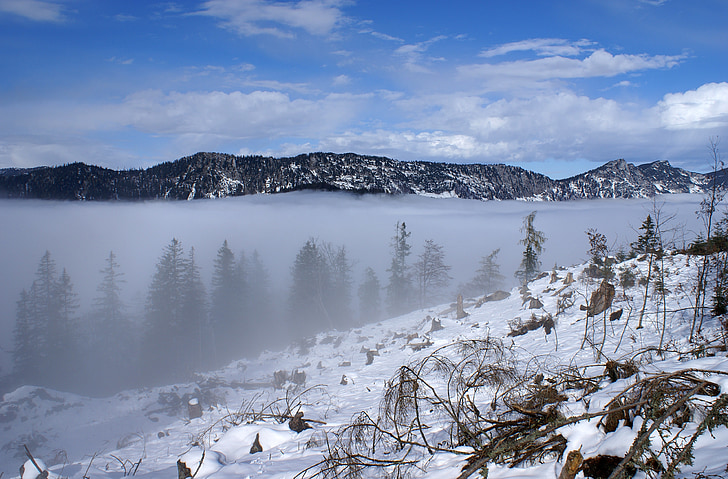 Munţii, ceaţă, pădure, zăpadă, Berchtesgaden, alpin, nori