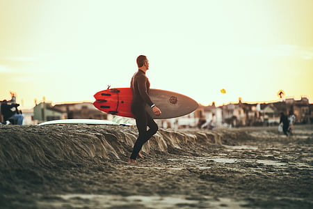 personas, hombre, chico, aventura, Playa, roca, persona que practica surf