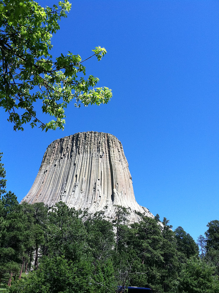 devils tower, tree, sky, tower, wyoming, national, monument