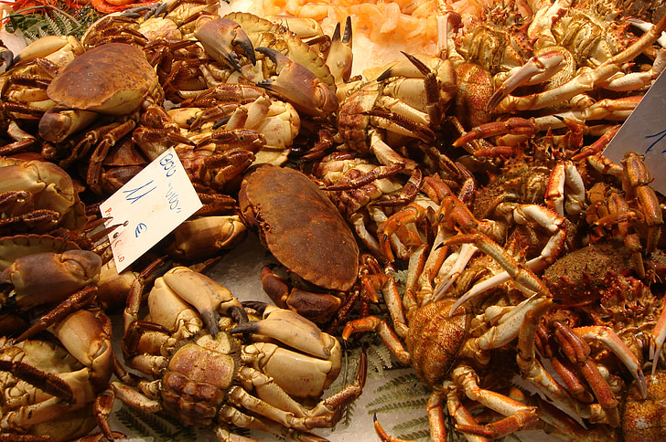krabji, jūras veltes, pārtika, tirgus, bokeria