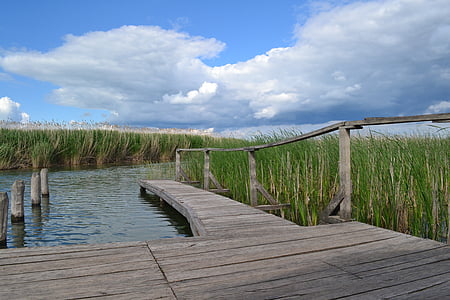 Λίμνη tisza, μονοπάτι μελέτης της φύσης, και, vizisétány, φύση, promo, Λίμνη