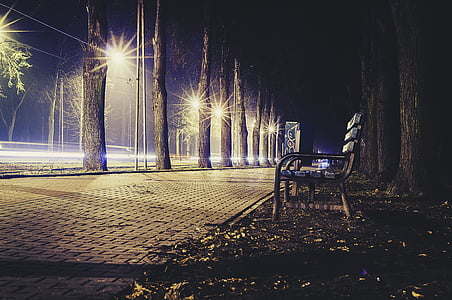 Скамейка, контуры, свет, фары, ночь, Парк, тротуар