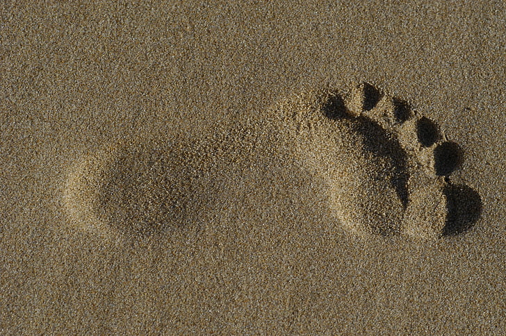 foten, Sand, stranden, fotavtryck, mänskliga, havet, sommar