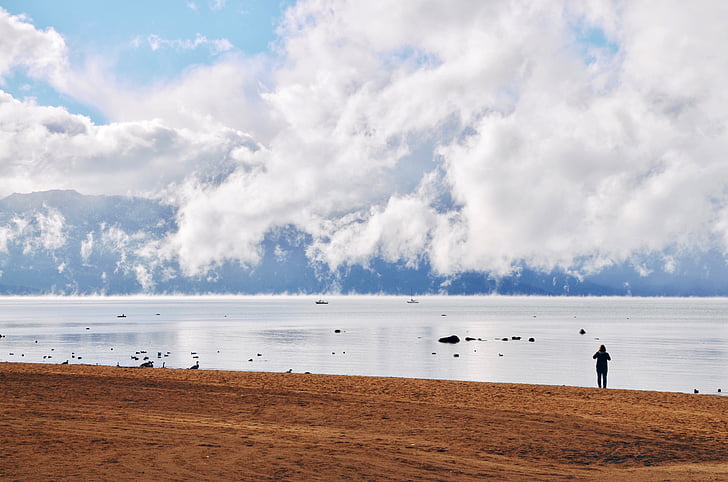 Foto, muž, stojace, v blízkosti zariadenia:, Ocean, ľudia, sám