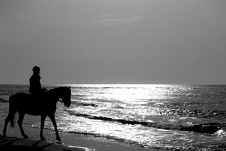 cheval, cavalier, mer, plage