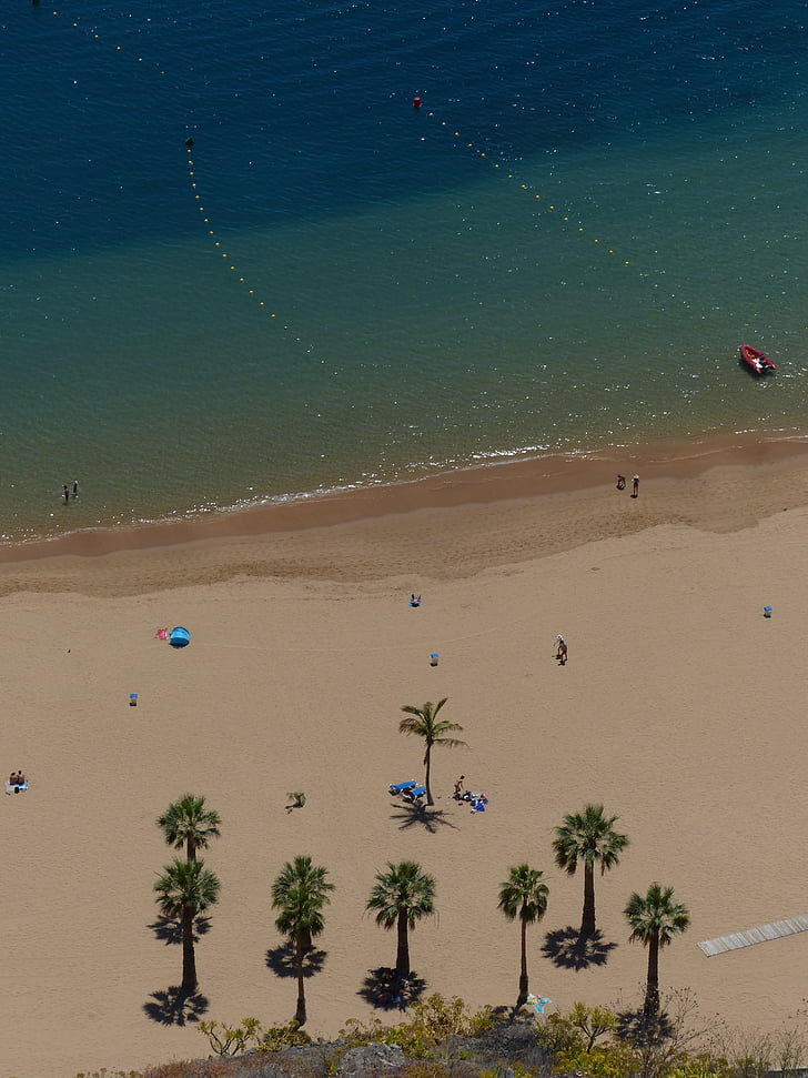 Praia de areia, praia, palmeiras, recuperação de, férias, Playa las teresitas, Tenerife