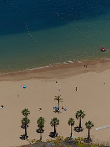 pješčana plaža, plaža, palme, oporavak, odmor, Playa las teresitas, Tenerife