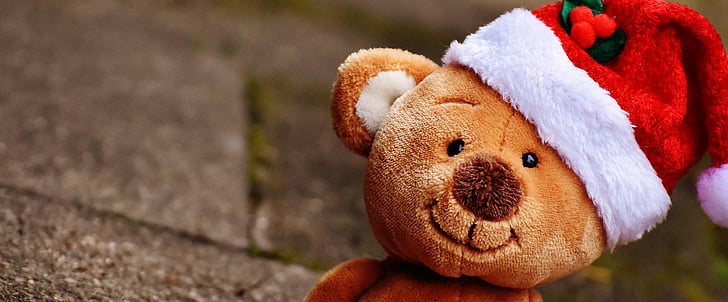 christmas, teddy, soft toy, santa hat, funny, childhood, close-up