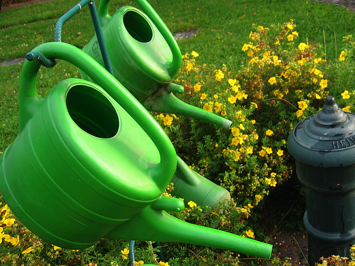 watering can, stand, cemetery, casting, irrigation, plant, hydrant