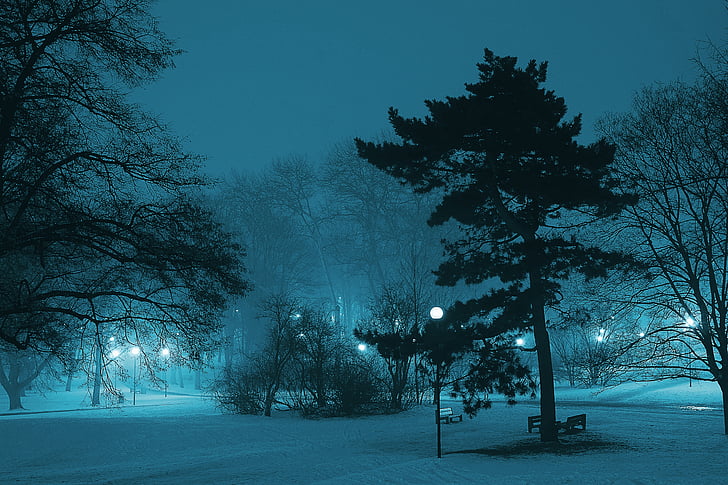 Park, noc, zimowe, mgła, Lampa, ciemne, komunalnych