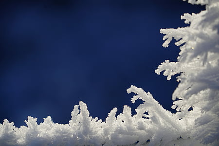 Eiskristalle, hoarfrost, cristalli di neve, ghiaccio, inverno, freddo, cristalli