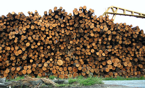 madeira serrada, logs, madeira, madeira, pilha, material, indústria