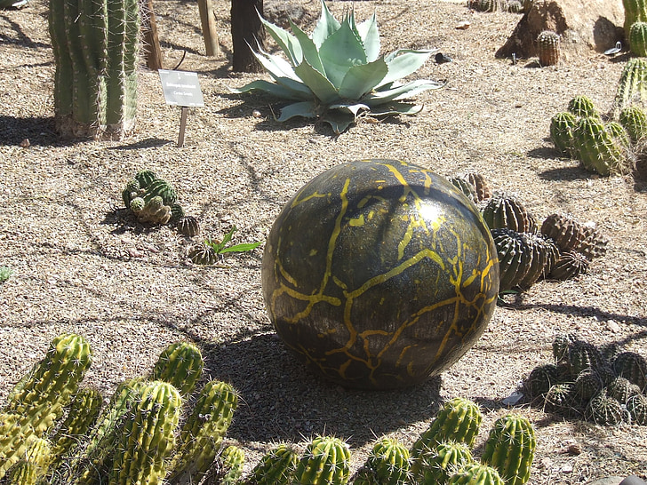 zelená, umění, kola, poušť, kaktus