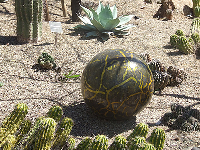 groen, kunst, ronde, woestijn, Cactus