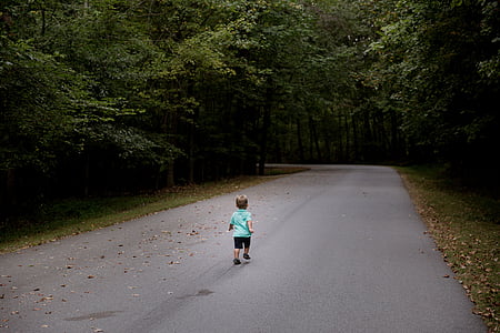 chłopiec, połowy, lasu, asfaltu, drogi, dzień, czas