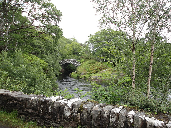 scotland, bridge, green, nature, water, river, united kingdom