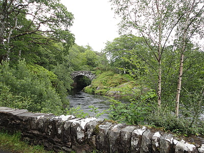 Skottland, Bridge, grønn, natur, vann, elven, Storbritannia