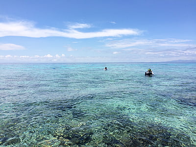 Philippines, bateau de crabe, Casa barry island, plongée en apnée, plage, Tropical