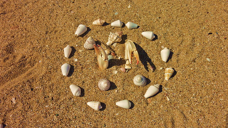 homok, kagyló, dekoráció