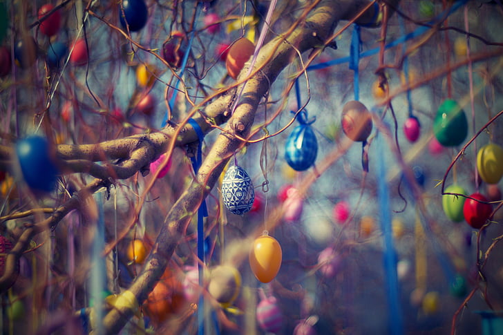 uskrsna jaja, Uskrs, drvo, vrba, jaja, proljeće, boja jaja
