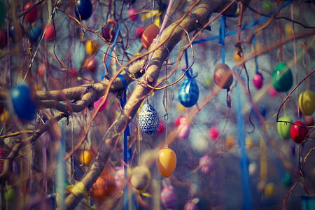 easter eggs, easter, tree, willow, eggs, spring, color eggs