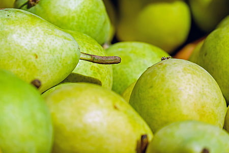 pears, fruit, fruits, ripe, harvest, food, healthy