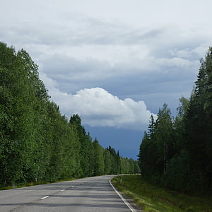 Finlandés, verano, carretera, bosque, nubes, lluvia temprana, oscuro