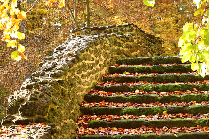 jeseni, stopnice, padec listje, korak stopnišč, grajski park, Ludwigslustu-parchim, jama