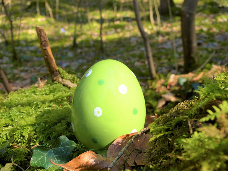 easter egg, ceramic, green, forest, moss, nature, sunny