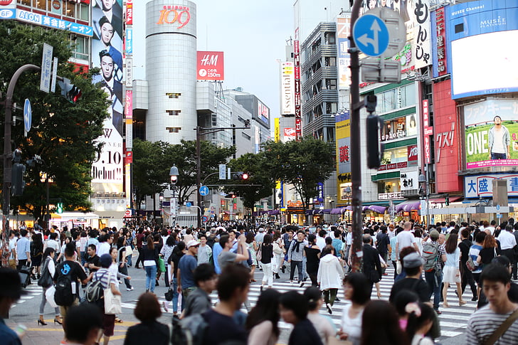 ciutat, Tòquio, vista de carrers, Shibuya, carretera, Humanitats, Japó