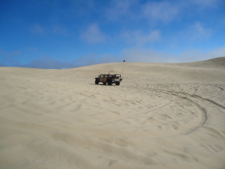 pismo, 모래 언덕, 캘리포니아