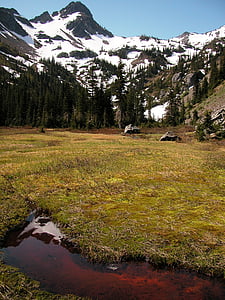 Parc Nacional Olímpic, Washington, paisatge, muntanyes, neu, escèniques, Perspectiva