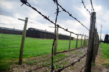 fence, holocaust, barbwire, crematorium, majdanek, chimney, concentration camp