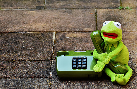 Kermit, żaba, telefon, Rysunek, śmieszne, żaby, zwierząt