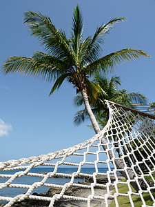 cama de rede, perspectiva, árvore de coco, praia, Palm, árvore, relaxamento