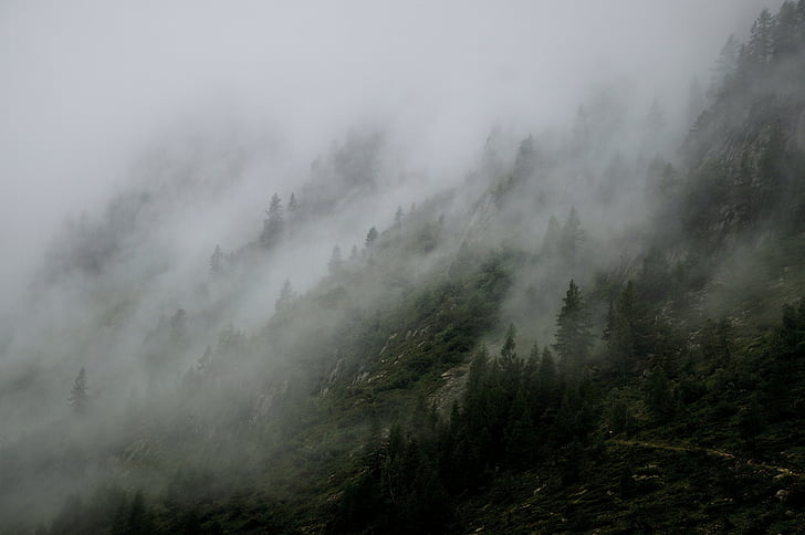 foggy, landscape, mist, mountain, nature, outdoors, trees