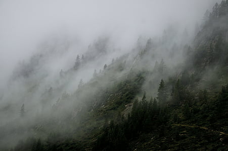sương mù, cảnh quan, sương mù, núi, Thiên nhiên, hoạt động ngoài trời, cây