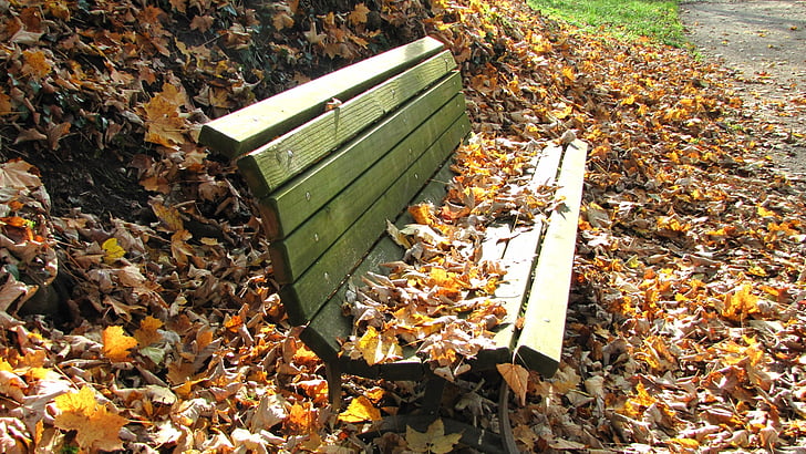 banke, lišće, jesen, sama, samoća, prazan, klupa u parku