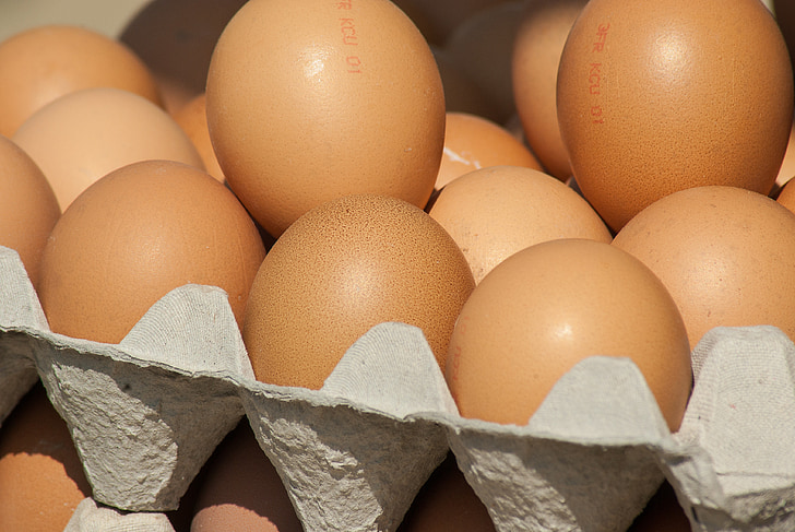 eggs, market, hens