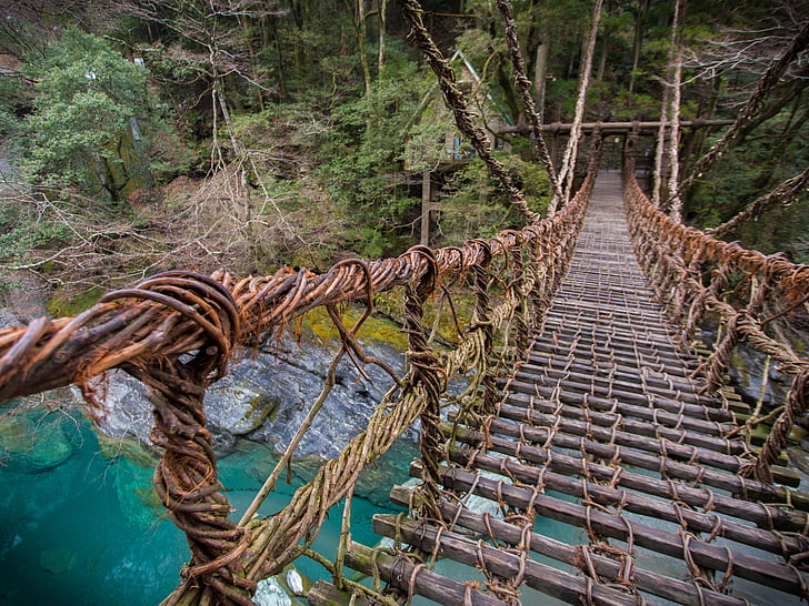 kazura bridge, japan, bridge, nature, rope, forest, tree