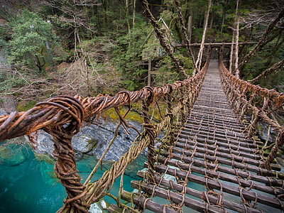 Puente de Kazura, Japón, puente, naturaleza, cuerda, bosque, árbol
