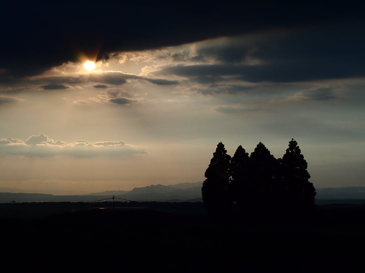quatre, coucher de soleil, Japon, Sky, arbres, champs, silhouette