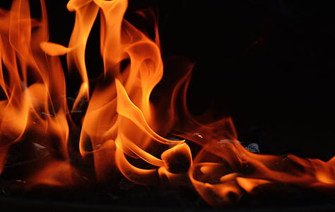 flame, embers, fire, hot, burn, campfire, wood