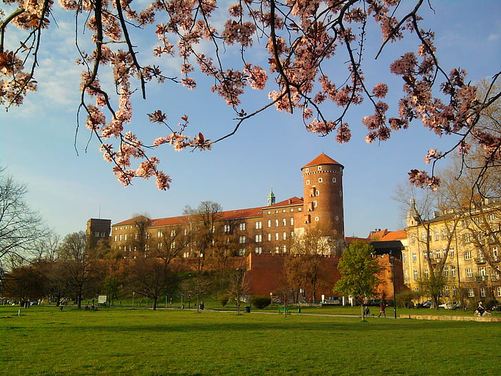 Krakov, Poljska, Wawel, pomlad, spomenik, drevo, arhitektura