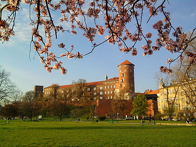 Kraków, Polen, Wawel, våren, monumentet, träd, arkitektur