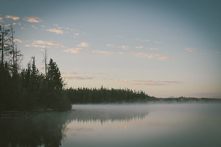 refleksjon, fotografi, trær, nær, kroppen, vann, himmelen