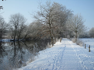 Trail, floden, vintrig, träd, snö, kalla, vinter